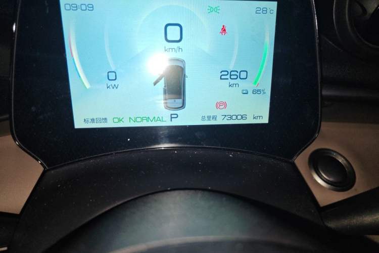 Used BYD Dolphin 2023 420 km Free Version Odometer Close Up