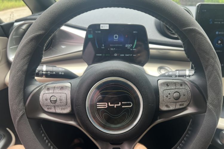 Used BYD Dolphin 2023 420 km Fashion Edition Odometer Close Up