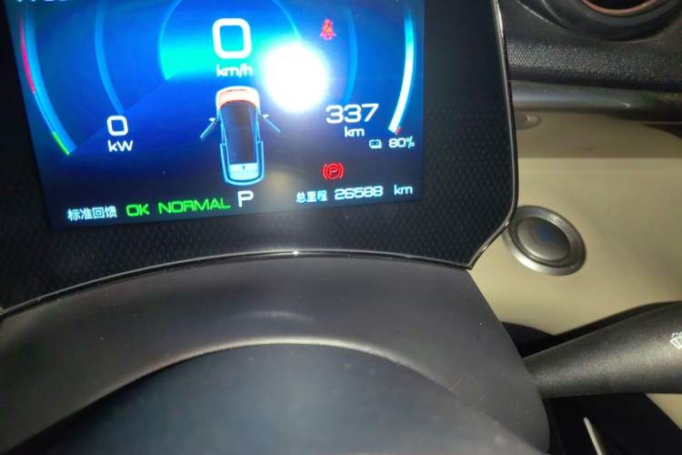 Used BYD Dolphin 2023 420 km Free Version Odometer Close Up