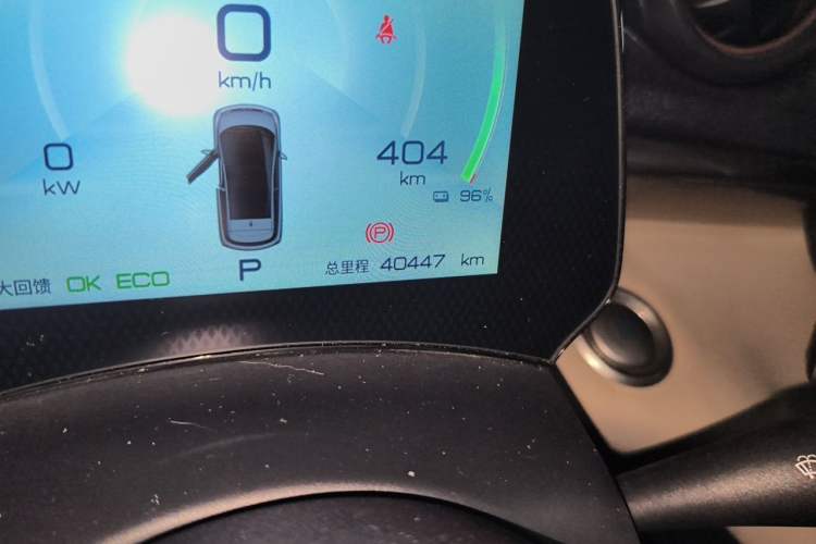 Used BYD Dolphin 2023 420 km Fashion Edition Odometer Close Up