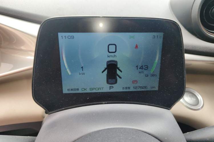 Used BYD Dolphin 2023 420 km Free Version Odometer Close Up