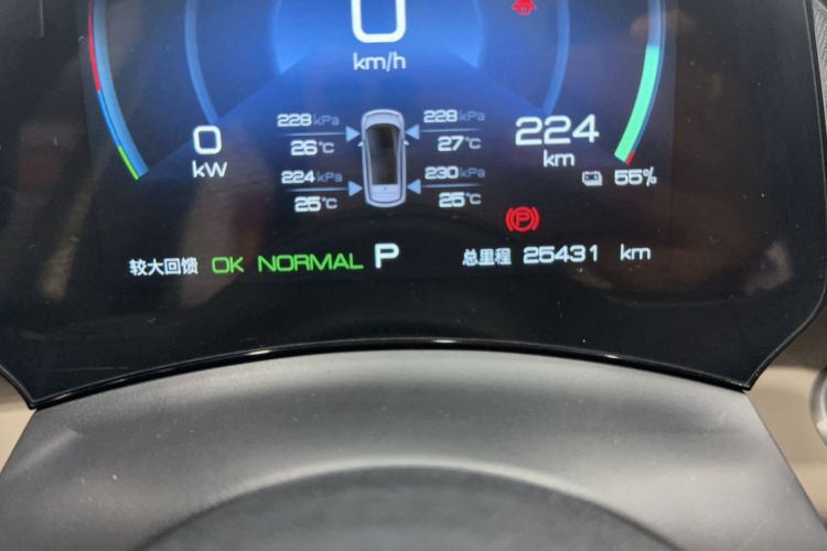 Used BYD Dolphin 2023 420 km Fashion Edition Odometer Close Up