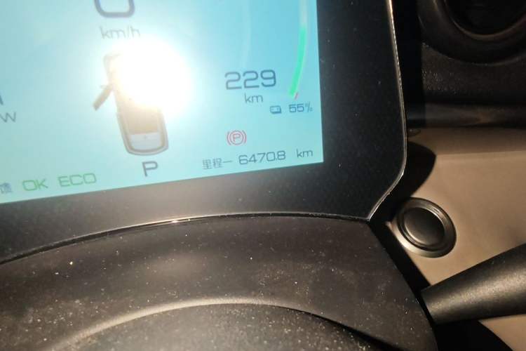 Used BYD Dolphin 2023 420 km Fashion Edition Odometer Close Up