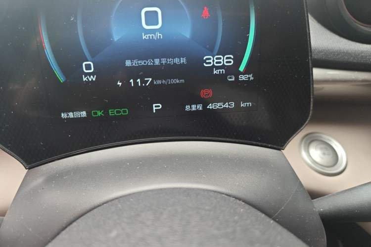 Used BYD Dolphin 2023 420 km Fashion Edition Odometer Close Up