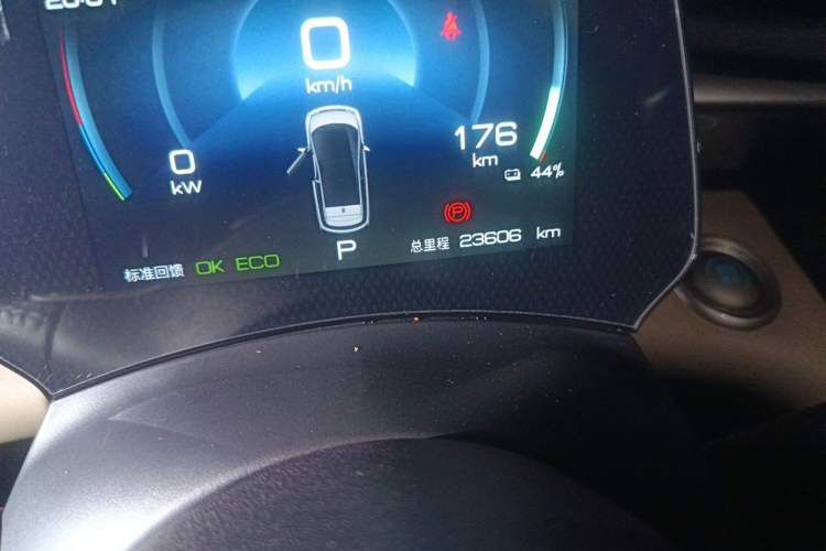 Used BYD Dolphin 2023 420 km Fashion Edition Odometer Close Up