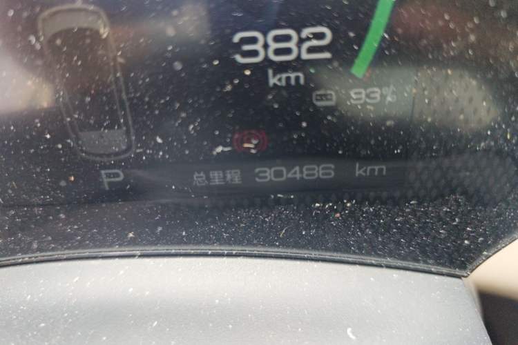 Used BYD Dolphin 2023 420 km Free Version Odometer Close Up