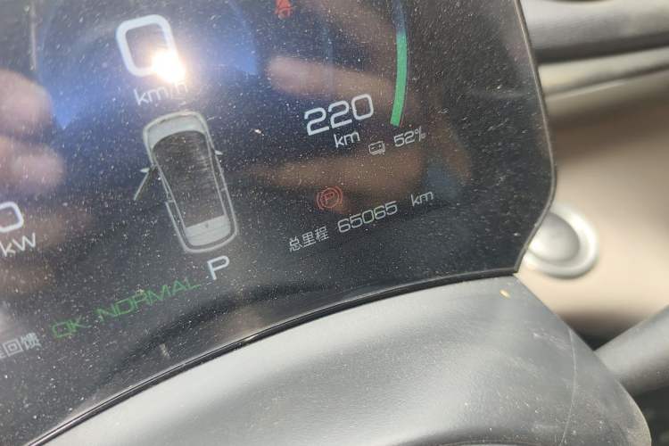 Used BYD Dolphin 2023 420 km Free Version Odometer Close Up