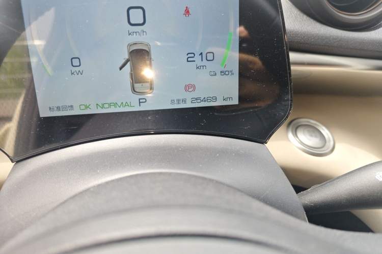 Used BYD Dolphin 2023 420 km Fashion Edition Odometer Close Up