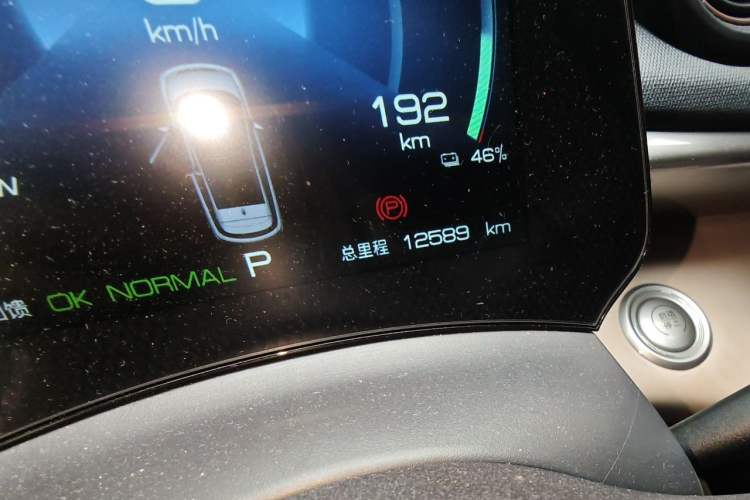 Used BYD Dolphin 2023 420 km Fashion Edition Odometer Close Up