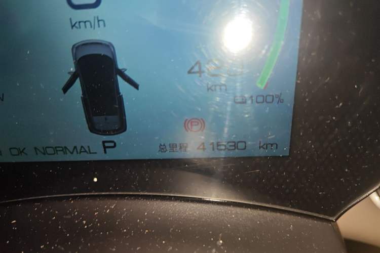 Used BYD Dolphin 2023 420 km Fashion Edition Odometer Close Up