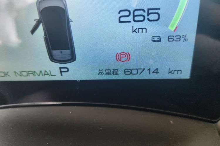 Used BYD Dolphin 2023 420 km Free Version Odometer Close Up