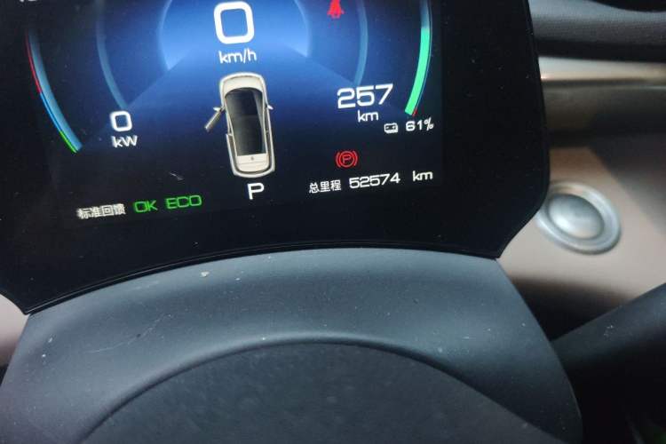 Used BYD Dolphin 2023 420 km Fashion Edition Odometer Close Up