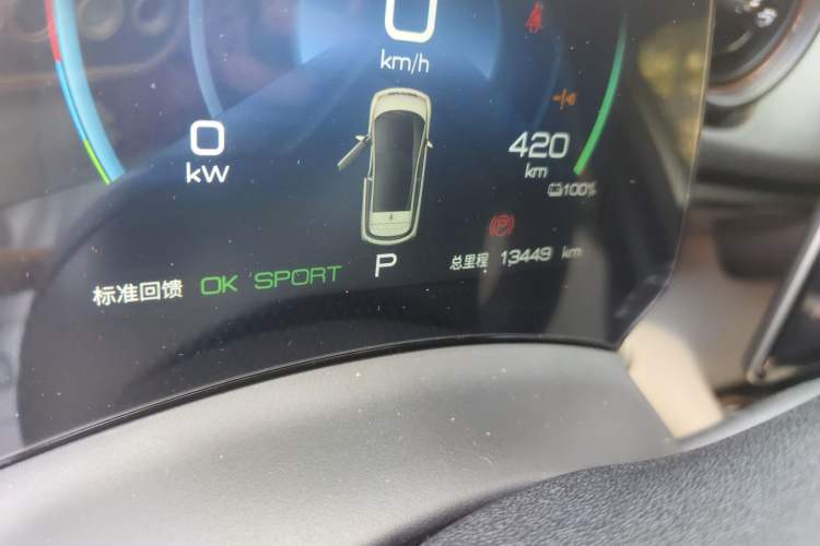 Used BYD Dolphin 2023 420 km Fashion Edition Odometer Close Up