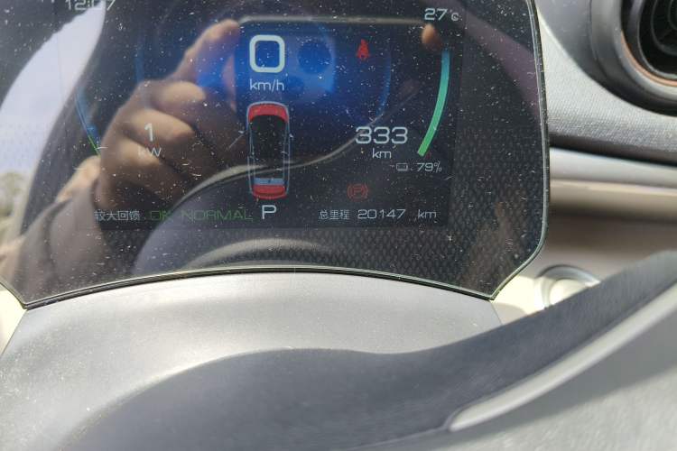 Used BYD Dolphin 2023 420 km Free Version Odometer Close Up