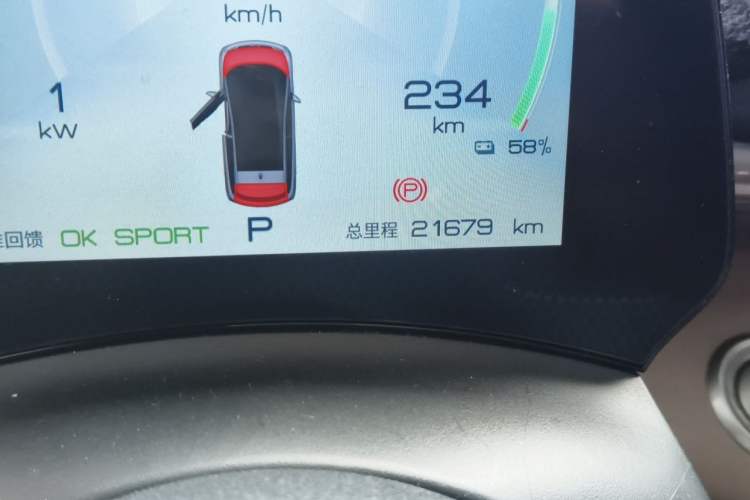 Used BYD Dolphin 2023 420 km Fashion Edition Odometer Close Up