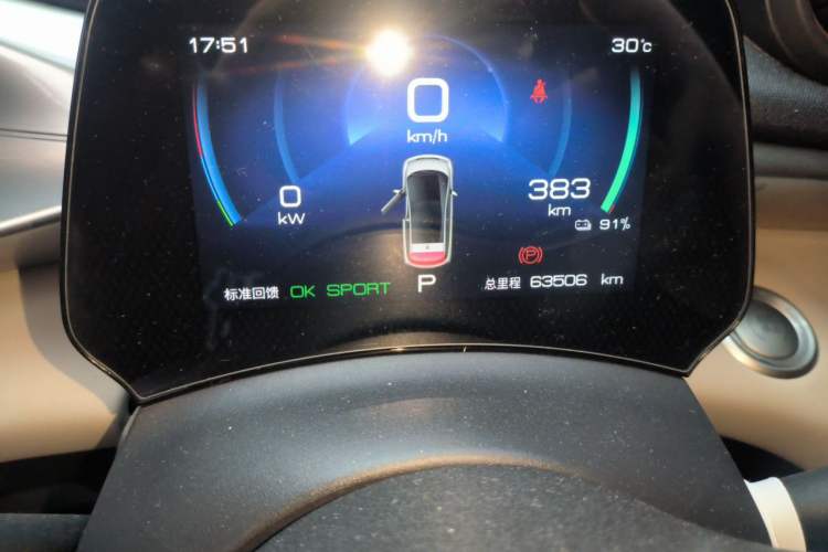 Used BYD Dolphin 2023 420 km Fashion Edition Odometer Close Up