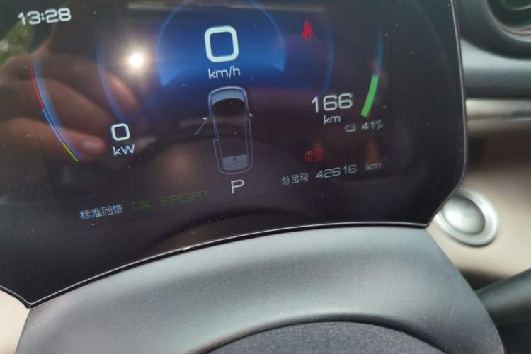 Used BYD Dolphin 2023 420 km Free Version Odometer Close Up