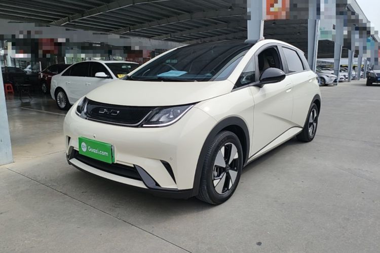 BYD Dolphin 2023 420 km Fashion Edition