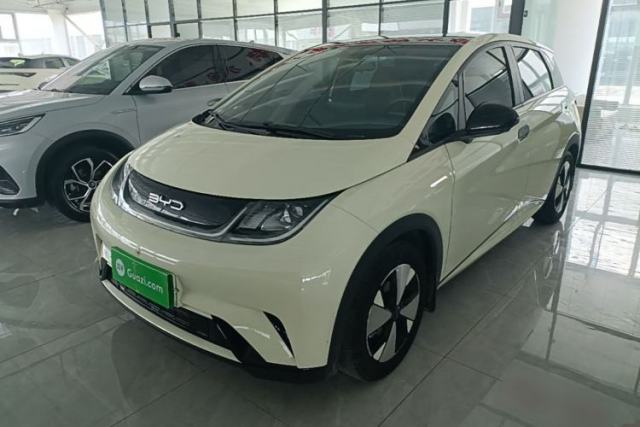 Used BYD Dolphin 2023 420 km Free Version