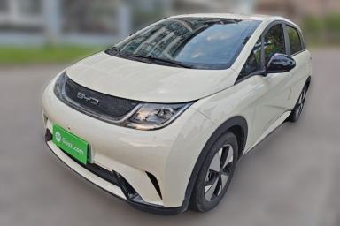 Used BYD Dolphin 2023 420 km Free Version