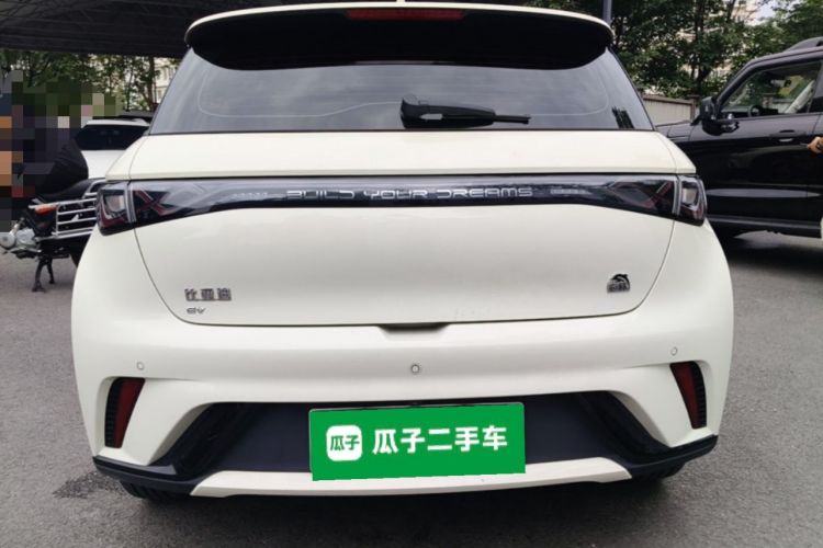 Used BYD Dolphin 2023 420 km Fashion Edition Rear