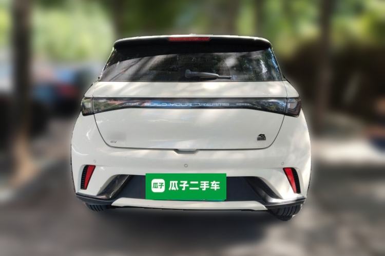 Used BYD Dolphin 2023 420 km Fashion Edition Rear