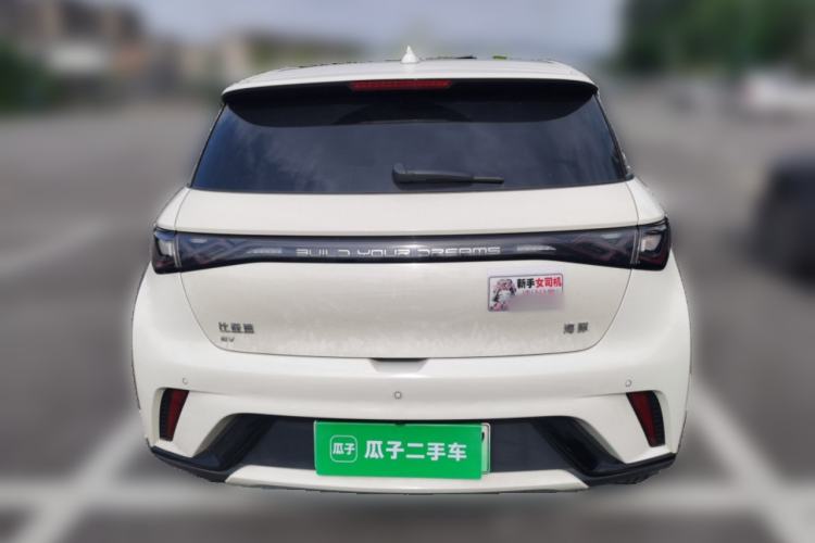Used BYD Dolphin 2023 420 km Fashion Edition Rear