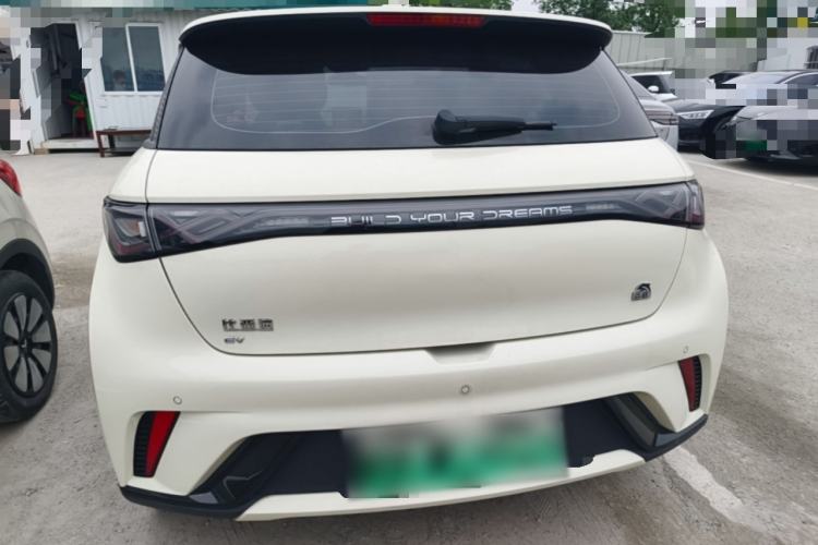 Used BYD Dolphin 2023 420 km Fashion Edition Rear