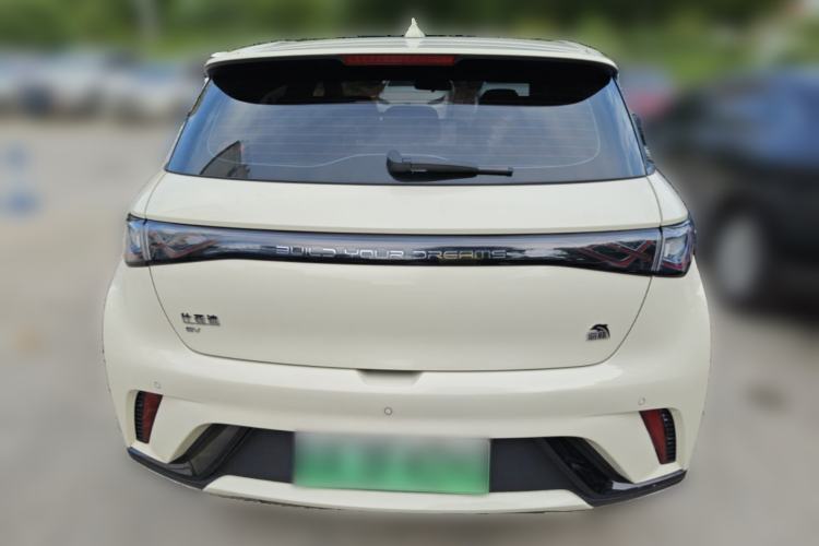 Used BYD Dolphin 2023 420 km Fashion Edition Rear
