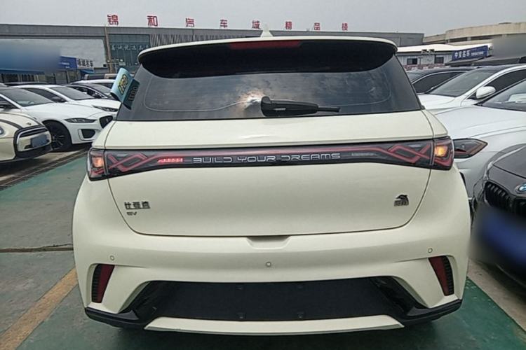 Used BYD Dolphin 2023 420 km Free Version Rear