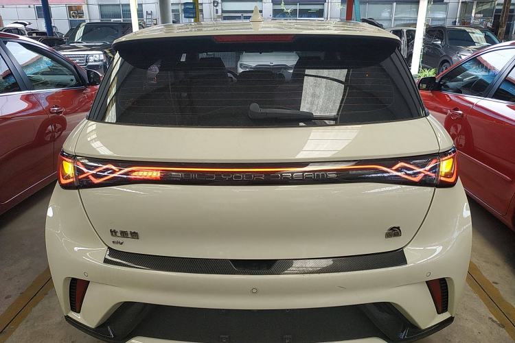 Used BYD Dolphin 2023 420 km Fashion Edition Rear