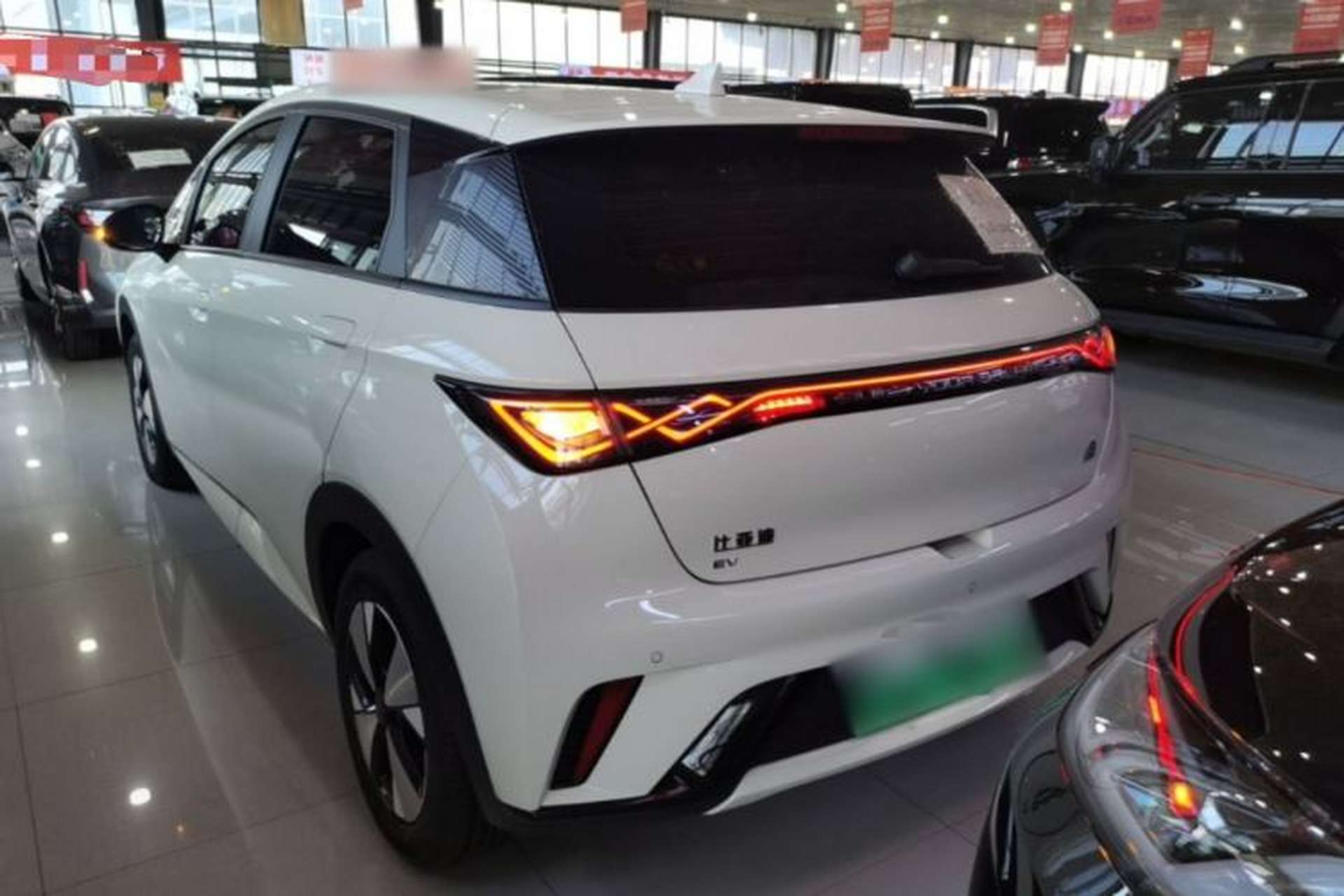 Used BYD Dolphin 2023 420 km Fashion Edition Rear