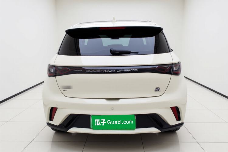 Used BYD Dolphin 2023 420 km Fashion Edition Rear