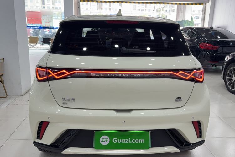 Used BYD Dolphin 2023 420 km Fashion Edition Rear