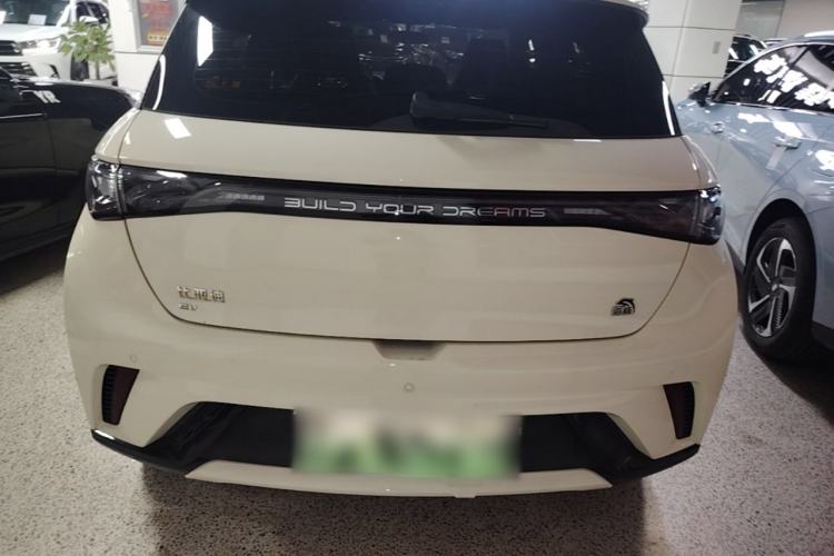 Used BYD Dolphin 2023 420 km Free Version Rear
