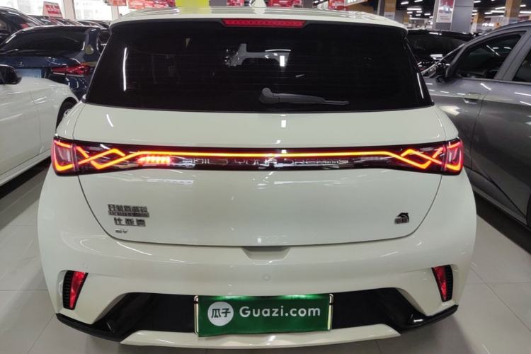 Used BYD Dolphin 2023 420 km Fashion Edition Rear