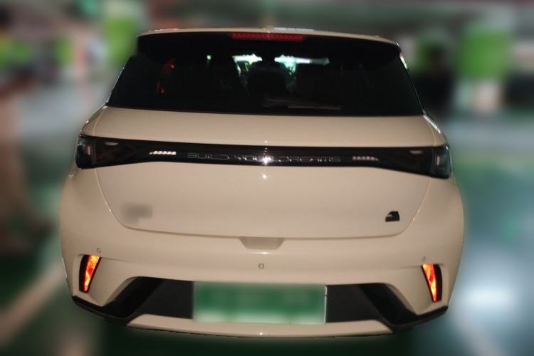 Used BYD Dolphin 2023 420 km Fashion Edition Rear