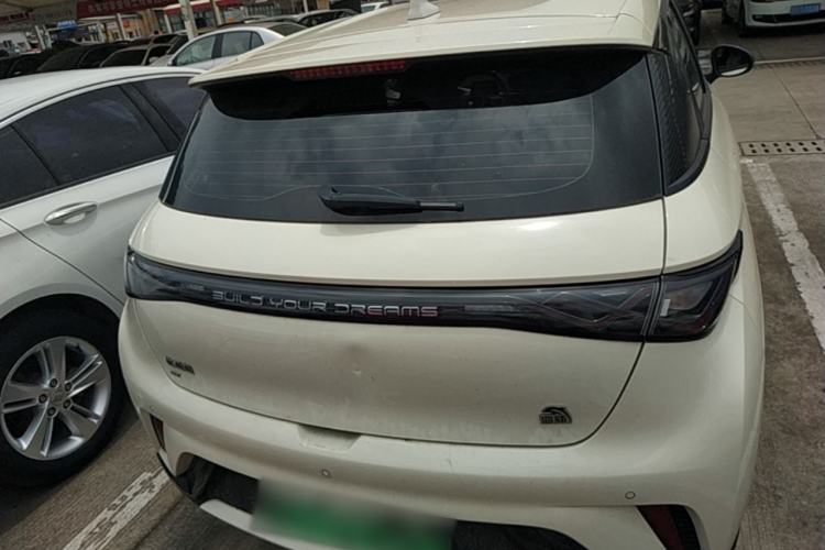 Used BYD Dolphin 2023 420 km Free Version Rear