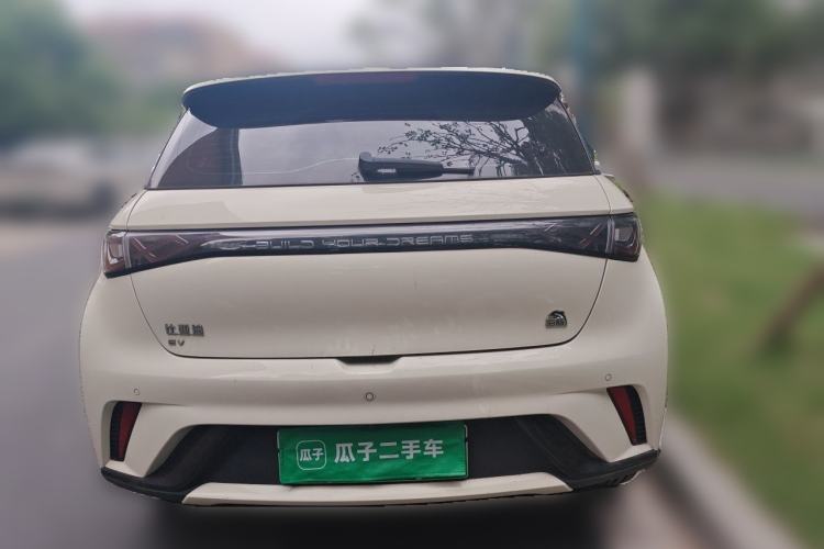 Used BYD Dolphin 2023 420 km Fashion Edition Rear