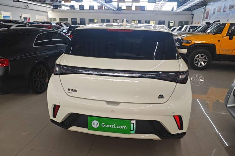 Used BYD Dolphin 2023 420 km Fashion Edition Rear