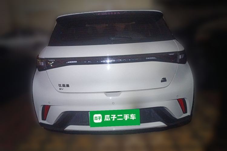 Used BYD Dolphin 2023 420 km Fashion Edition Rear