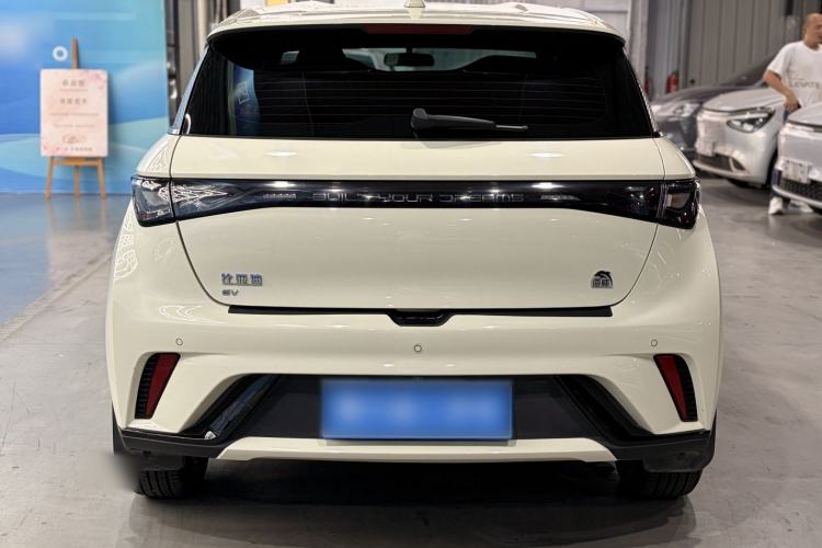 Used BYD Dolphin 2023 420 km Free Version Rear