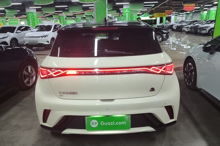 Used BYD Dolphin 2023 420 km Fashion Edition Rear