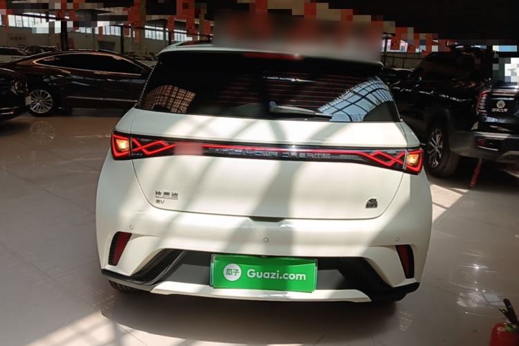 Used BYD Dolphin 2023 420 km Free Version Rear