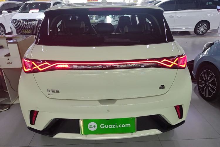 Used BYD Dolphin 2023 420 km Fashion Edition Rear