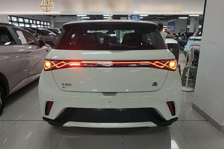 Used BYD Dolphin 2023 420 km Fashion Edition Rear