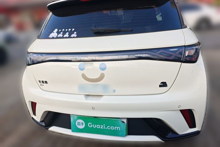 Used BYD Dolphin 2023 420 km Fashion Edition Rear
