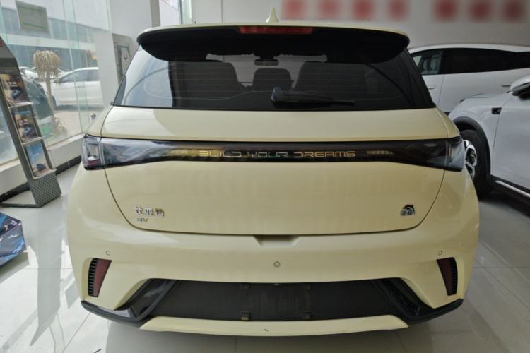 Used BYD Dolphin 2023 420 km Fashion Edition Rear