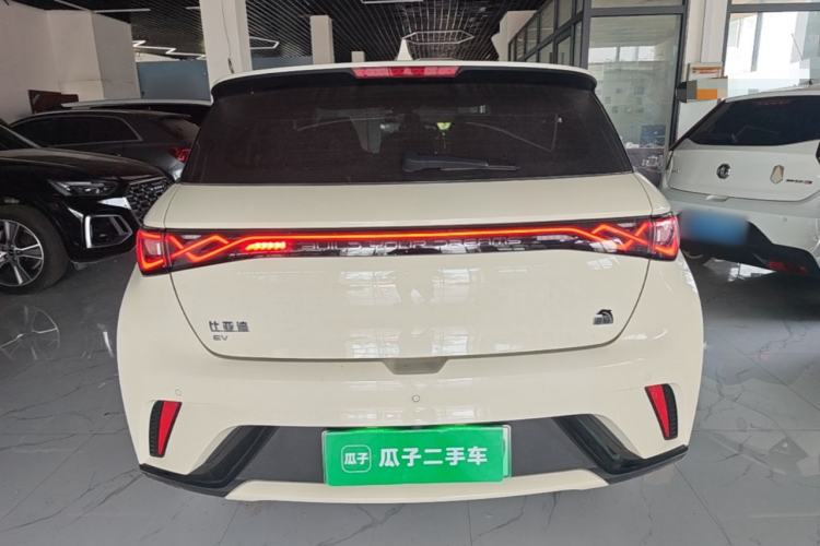 Used BYD Dolphin 2023 420 km Fashion Edition Rear