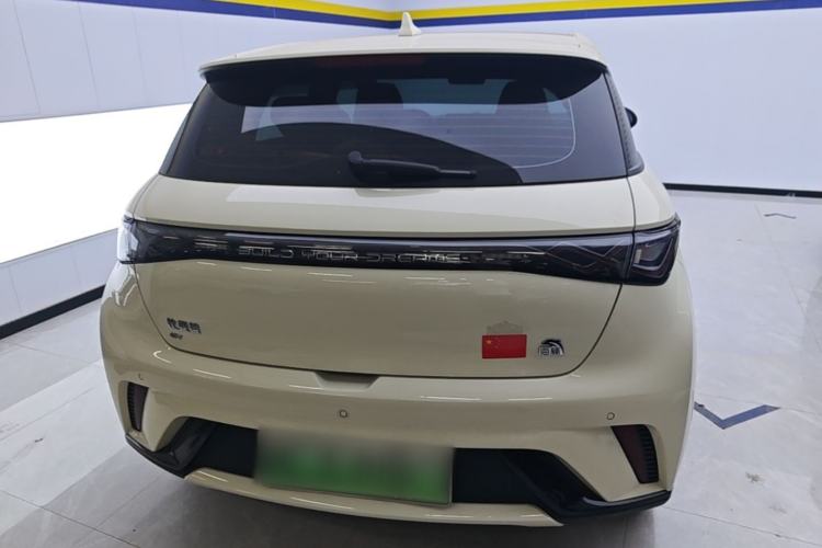 Used BYD Dolphin 2023 420 km Fashion Edition Rear